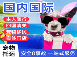 南昌昌北空运国际宠物托运 【国
